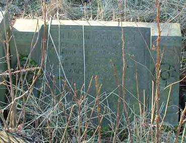 Photo of Grave DDm06