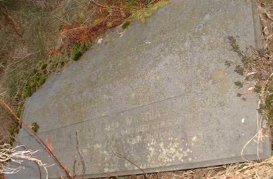 Photo of Grave Gm35