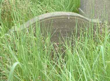 Photo of Grave H11