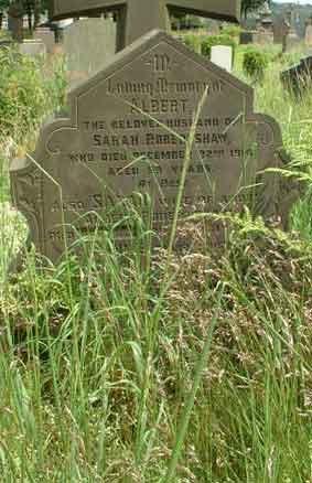 Photo of Grave H3
