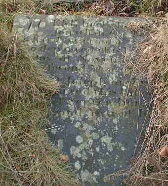 Photo of Grave Hs43