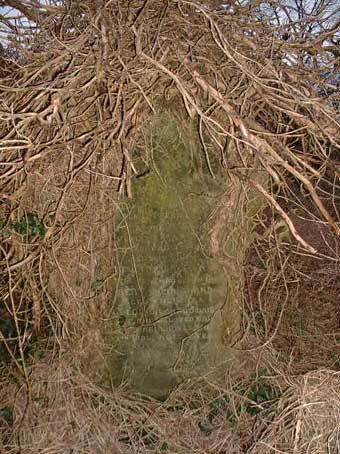 Photo of Grave Lm18