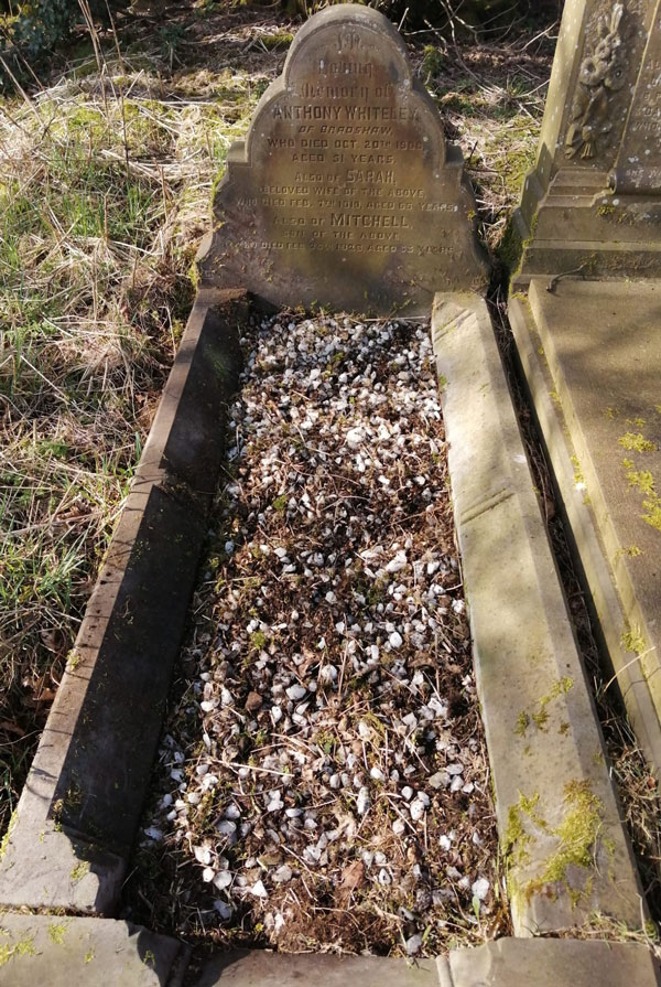 Photo of Grave MMm03