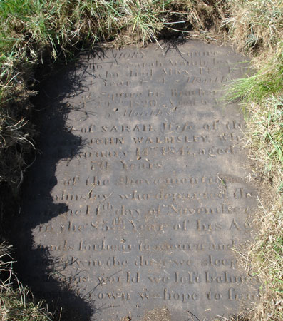Photo of Grave Ms60