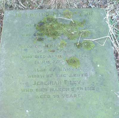 Photo of Grave NNm11