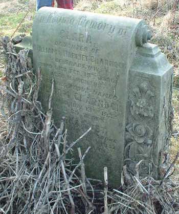 Photo of Grave Rm11