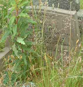 Photo of Grave T17