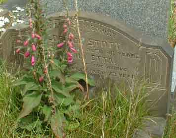 Photo of Grave T26