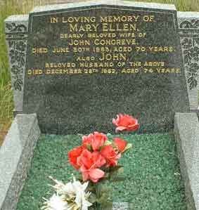 Photo of Grave V30