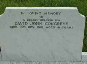 Photo of Grave Z33